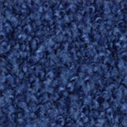 שטיח כניסה כחול